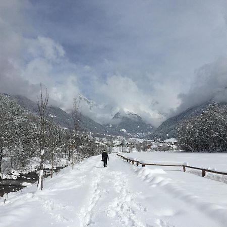 Apartments Sankt Walburg Anterselva di Mezzo Zewnętrze zdjęcie