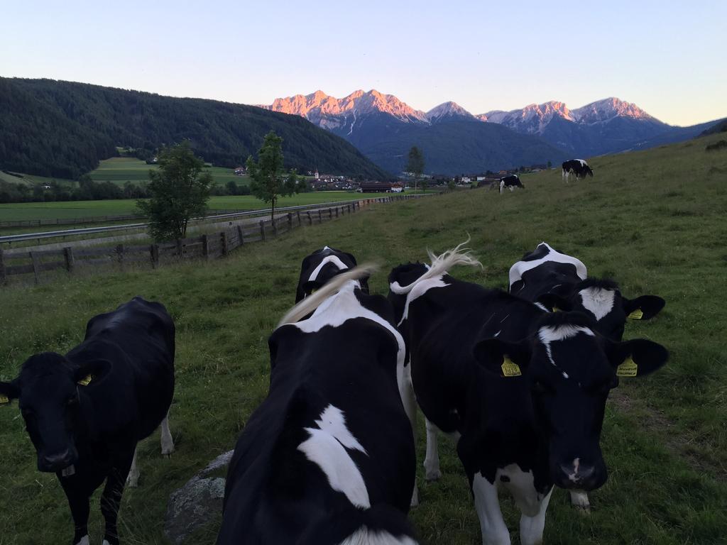 Apartments Sankt Walburg Anterselva di Mezzo Zewnętrze zdjęcie