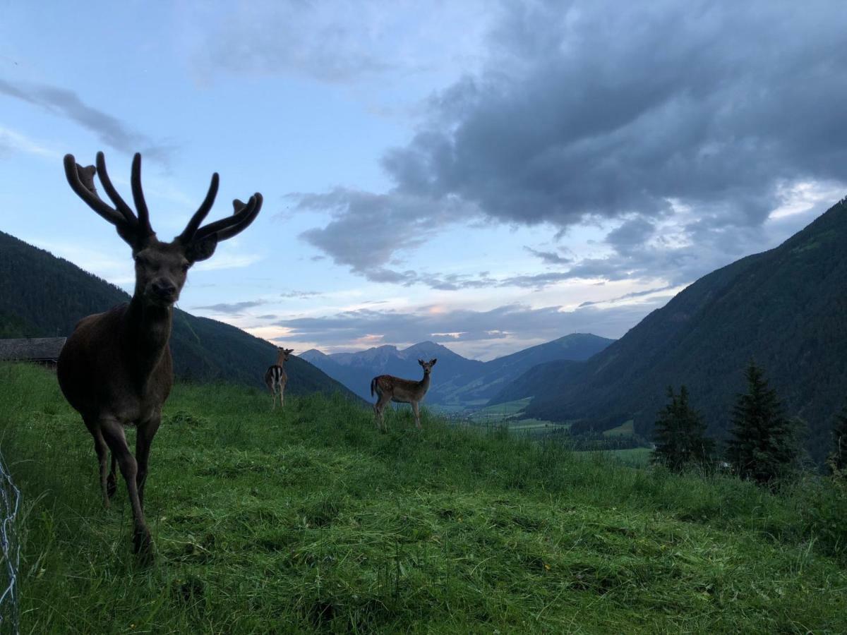 Apartments Sankt Walburg Anterselva di Mezzo Zewnętrze zdjęcie