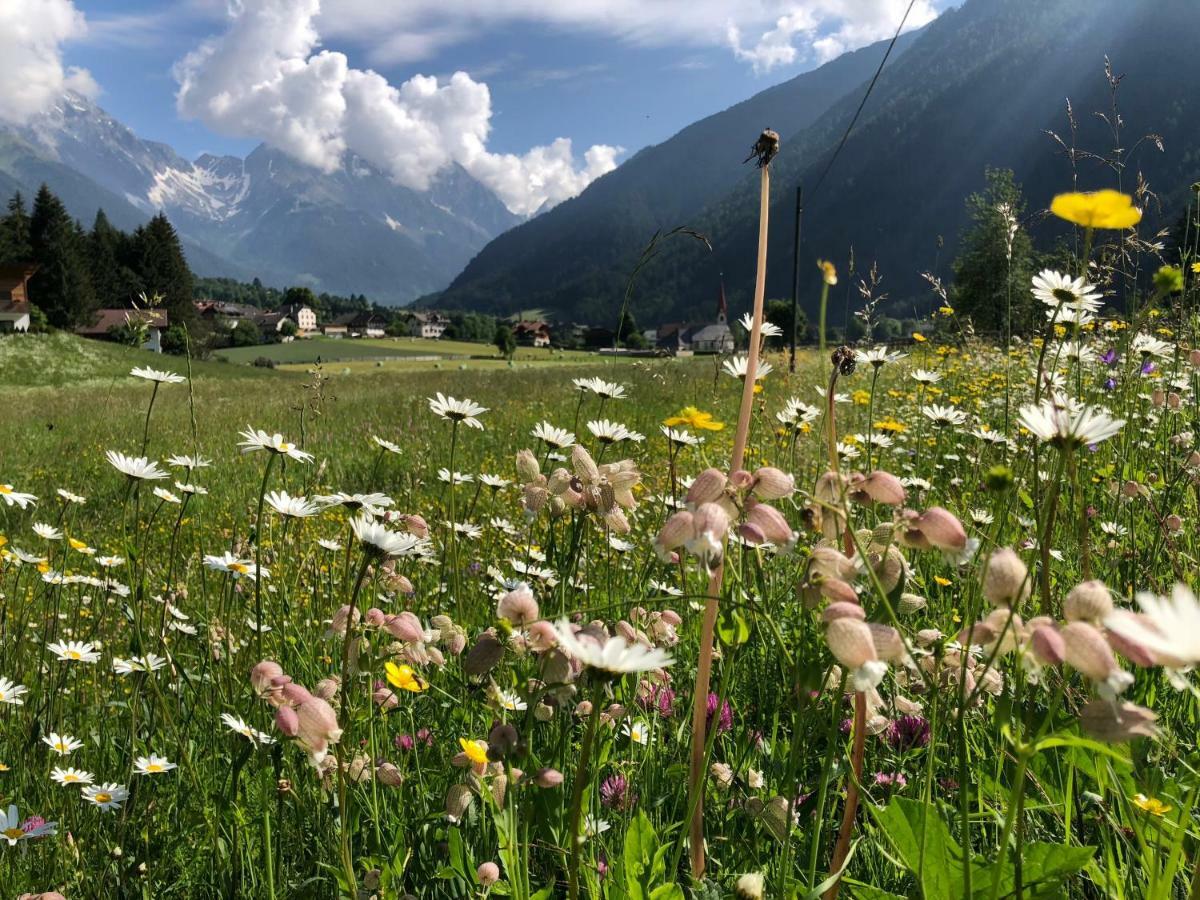 Apartments Sankt Walburg Anterselva di Mezzo Zewnętrze zdjęcie